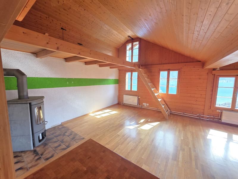 wooden ceiling, wooden floor, fireplace, windows, view of the sea