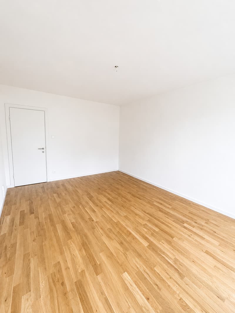 Erstvermietung 3-Zimmerwohnung im "Breitsch" (9)