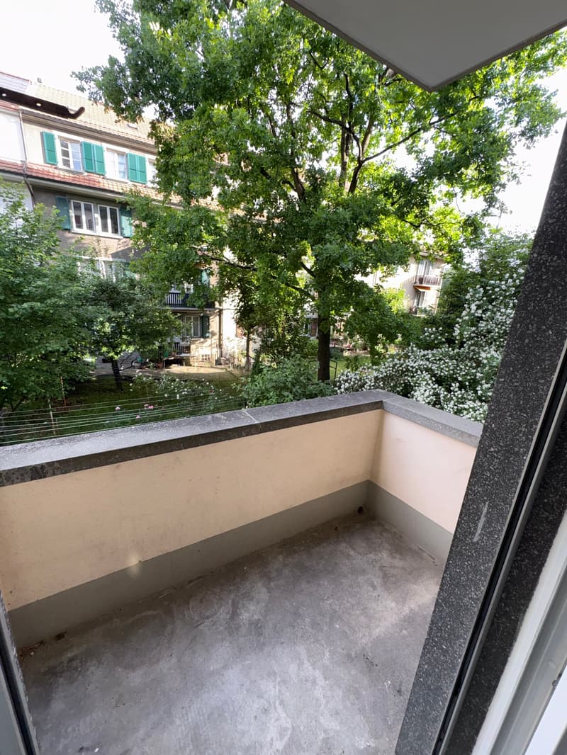 Erstvermietung 3-Zimmerwohnung im "Breitsch" (4)