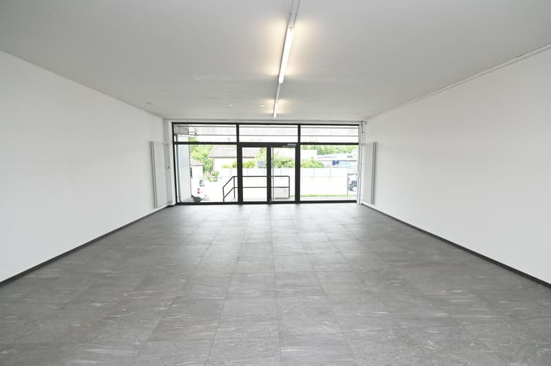 empty room, white walls, gray floor, double doors, large windows