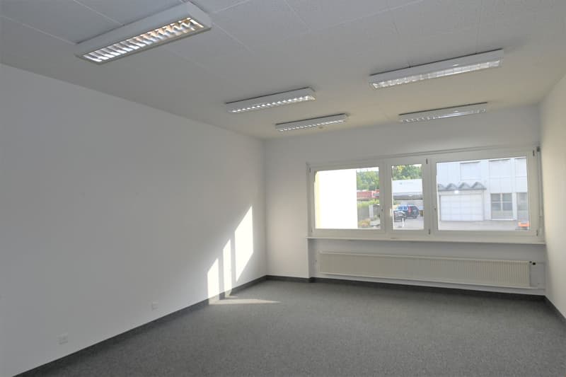 empty room, white walls, gray floor, windows, radiator, ceiling lights