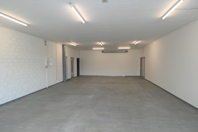 Empty room with white walls, gray floor, and multiple ceiling lights