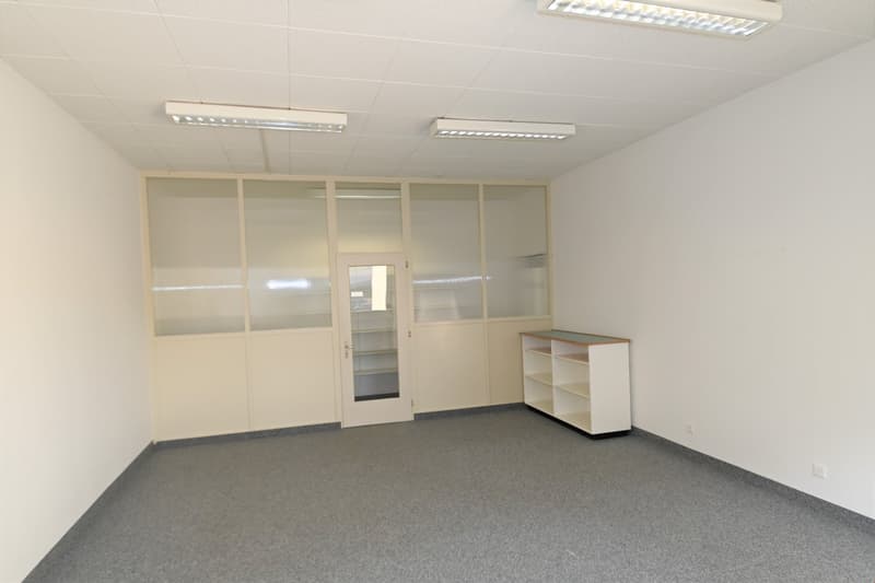 empty room, white walls, gray floor, glass doors, white shelves, ceiling lights