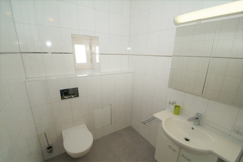 3 1/2 Zimmerwohnung mit Wintergarten im Obachquartier (5)