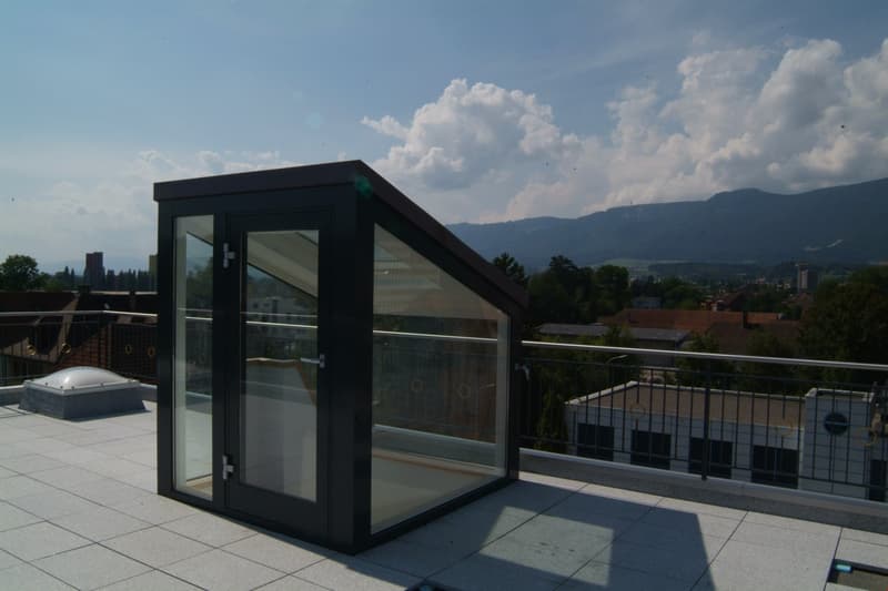 Duplex Stadtwohnung mit spektakulärer Terasse (5)