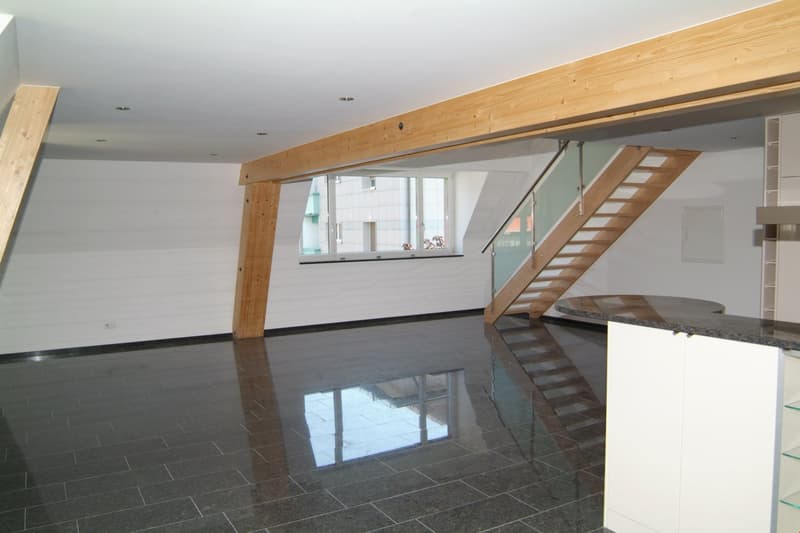 Duplex Stadtwohnung mit spektakulärer Terasse (3)
