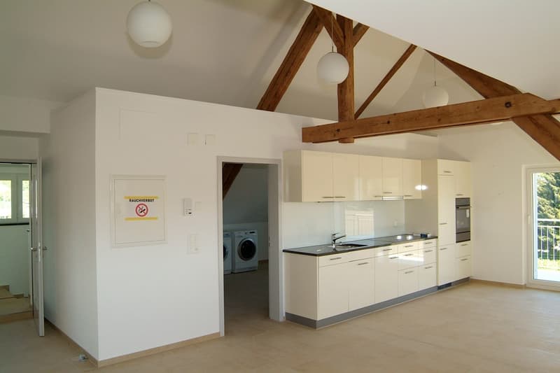 offene Dachwohnung am Dorfrand, im Grünen (1)