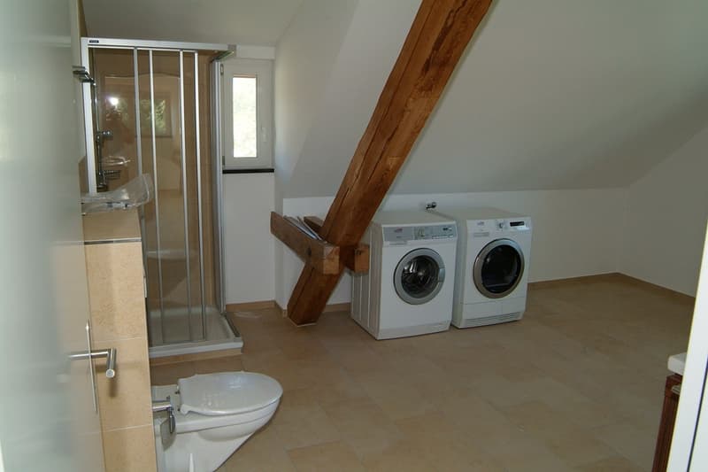 offene Dachwohnung am Dorfrand, im Grünen (5)
