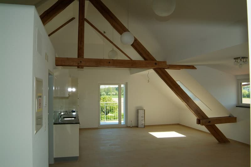 offene Dachwohnung am Dorfrand, im Grünen (7)