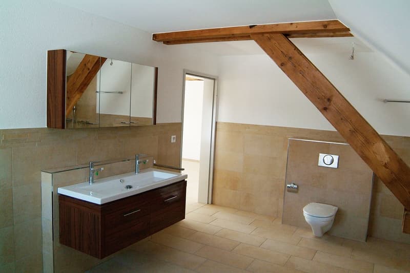 offene Dachwohnung am Dorfrand, im Grünen (4)
