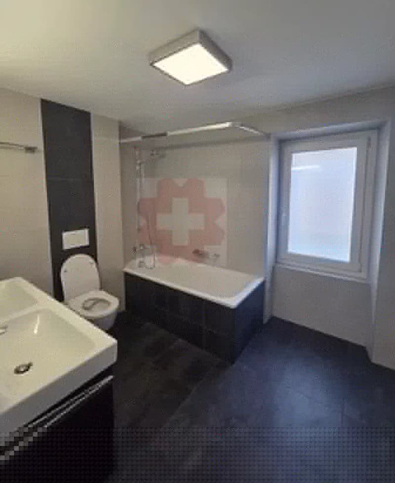 Attic duplex 4.5 rooms center Leytron (9)