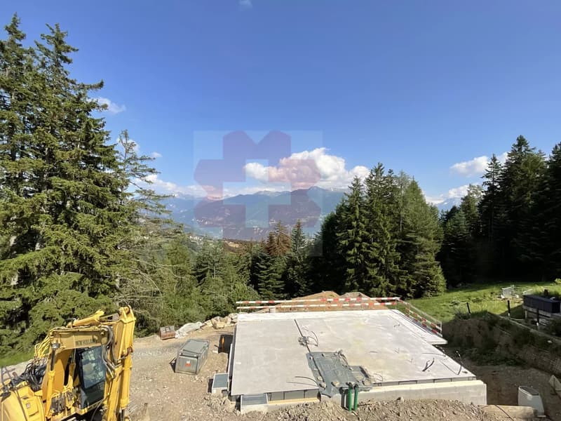 Residenza secondaria o principale (8)