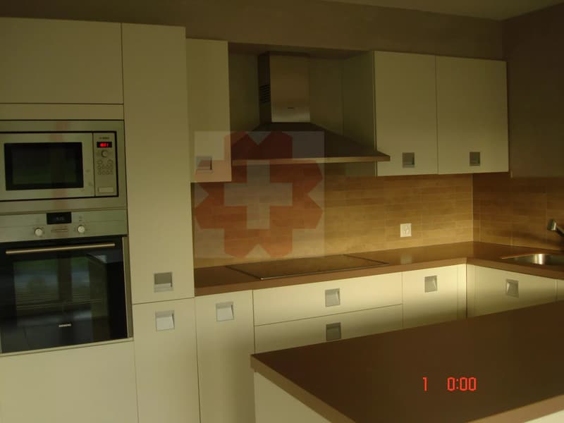 Luxurious 4-Bedroom Apartment in Scenic Bex Location (8)