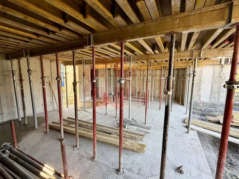 Villa mitoyenne de 5,5 pièces (5)