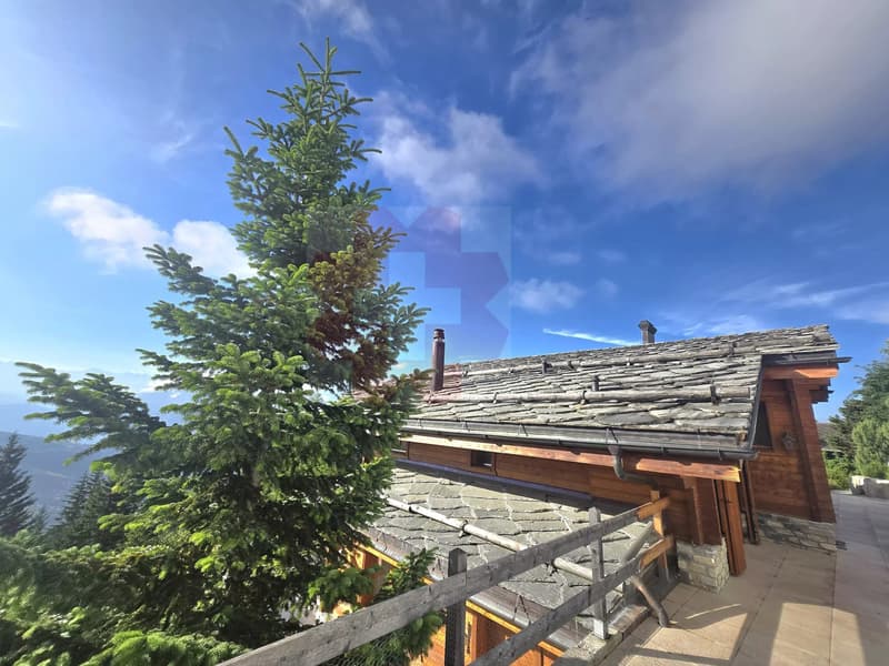 Chalet d'Exception à Anzère Résidence secondaire autorisée et acquisition par les étrangers (4)