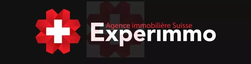 Appartement 4.5 centre Sion (1)