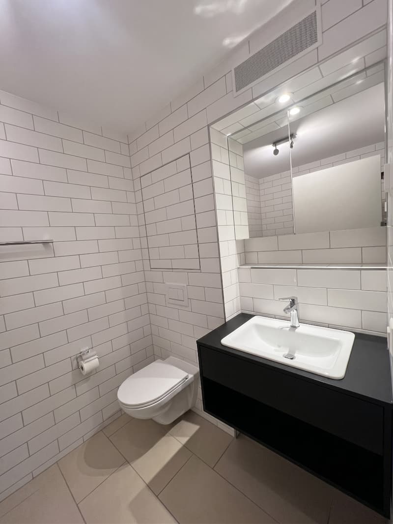 Lichtdurchflutete 4.5-Zimmerwohnung mit eigenem Waschturm und grosszügigem Balkon (6)