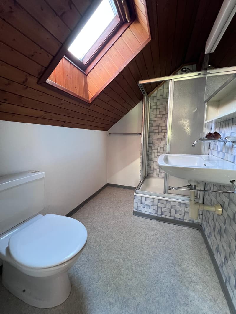 Grosszügiges Studio in Mühlethal zu vermieten (4)