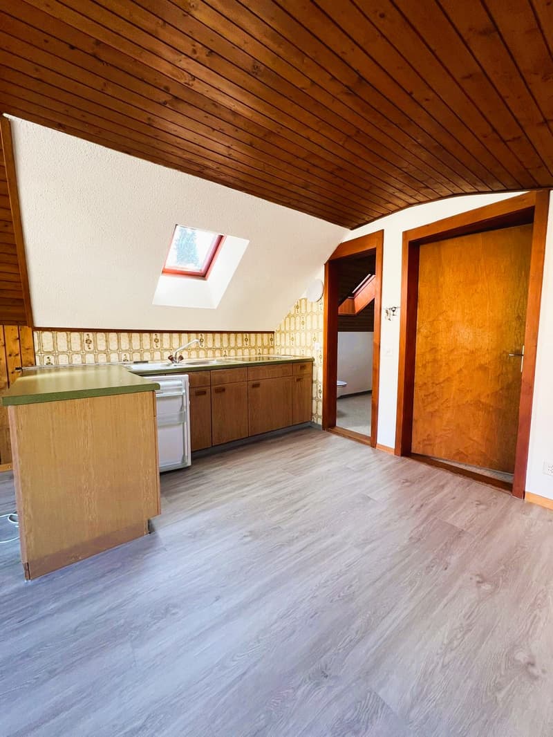 Grosszügiges Studio in Mühlethal zu vermieten (3)