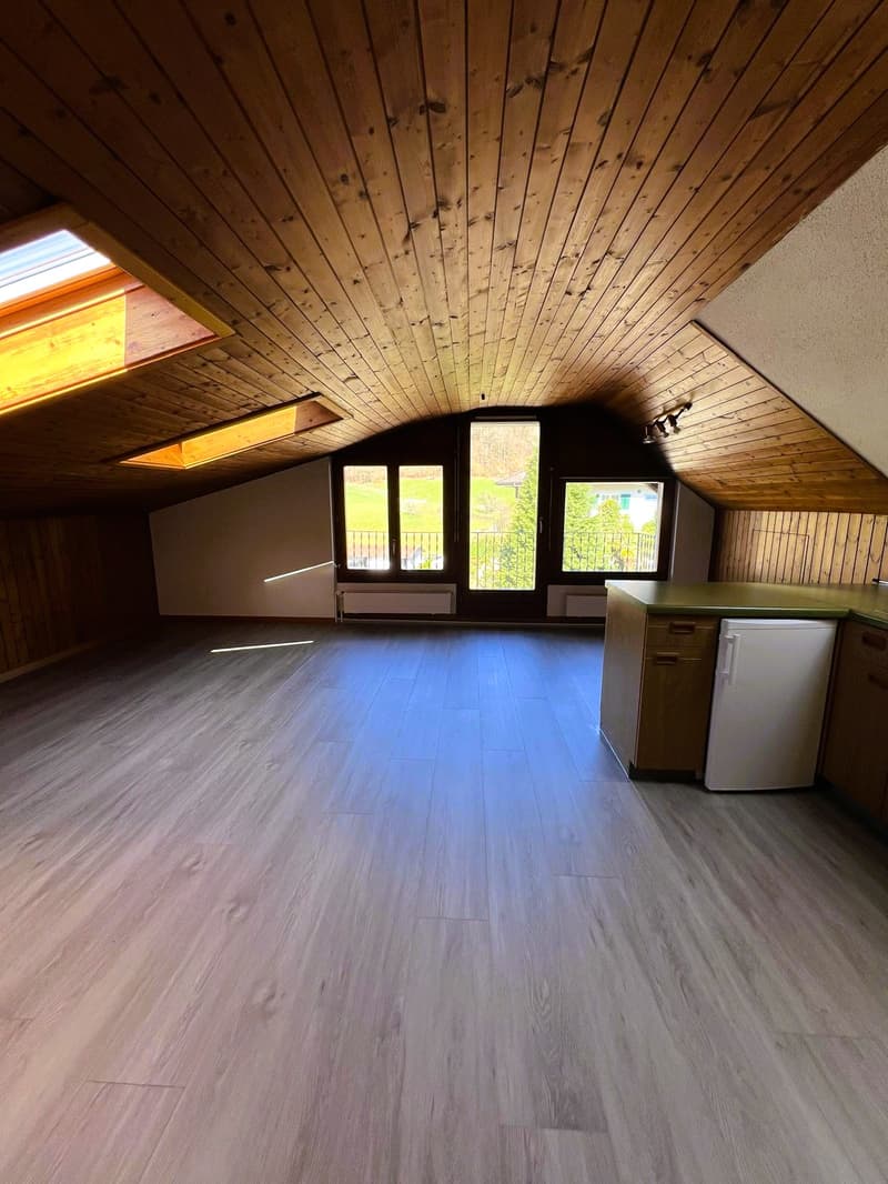 Grosszügiges Studio in Mühlethal zu vermieten (1)