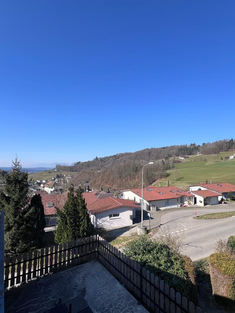 Grosszügiges Studio in Mühlethal zu vermieten (2)