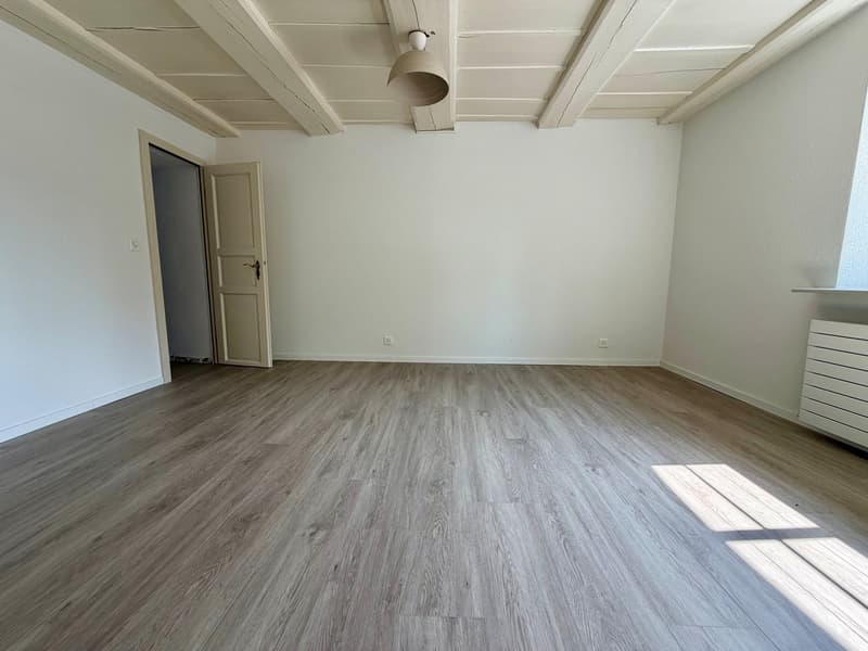 Charmante 2.5-Zimmer-Altbauwohnung im Erdgeschoss in Hägendorf (5)
