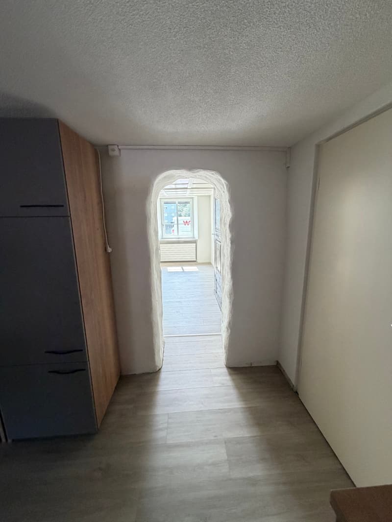 Charmante 2.5-Zimmer-Altbauwohnung im Erdgeschoss in Hägendorf (3)