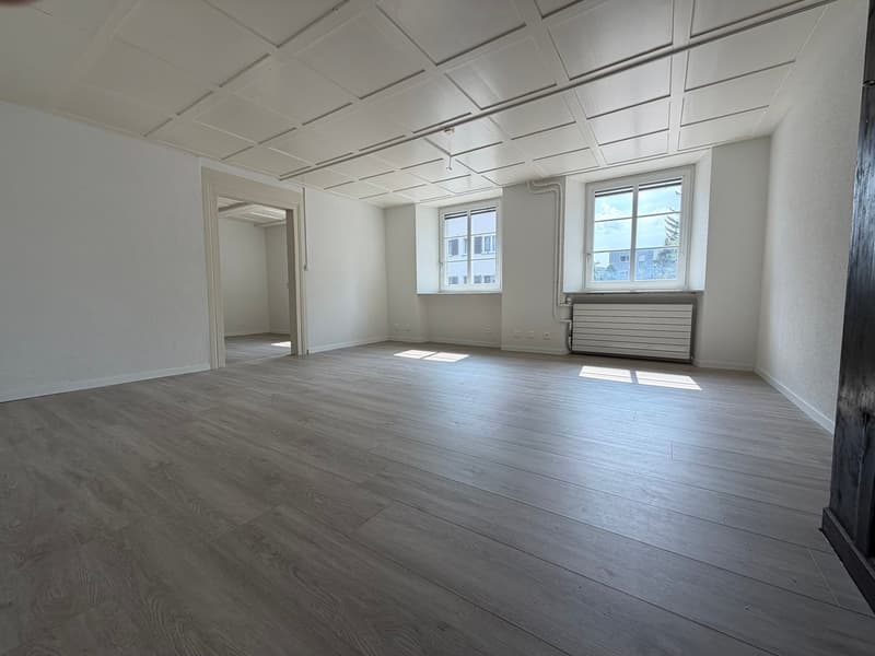 Charmante 2.5-Zimmer-Altbauwohnung im Erdgeschoss in Hägendorf (4)