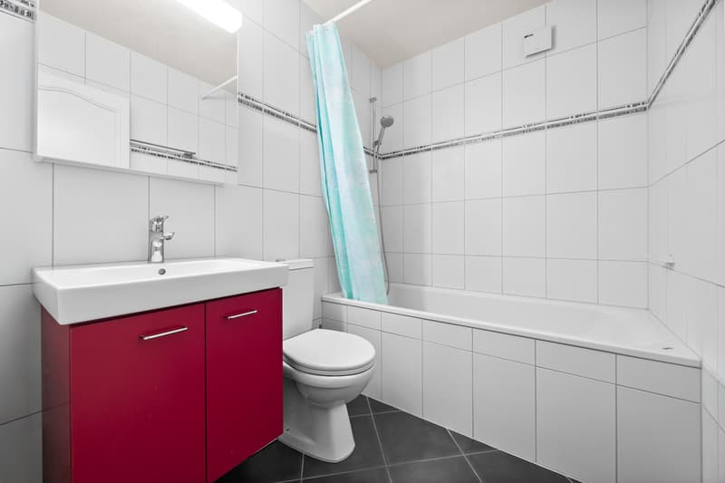 Magnifique appartement de 4.5 pièces à Collombey (11)