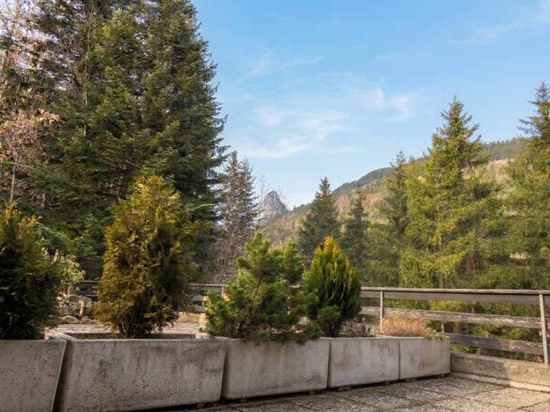 Duplex rénové à vendre à Torgon avec vue sur les montagnes (5)