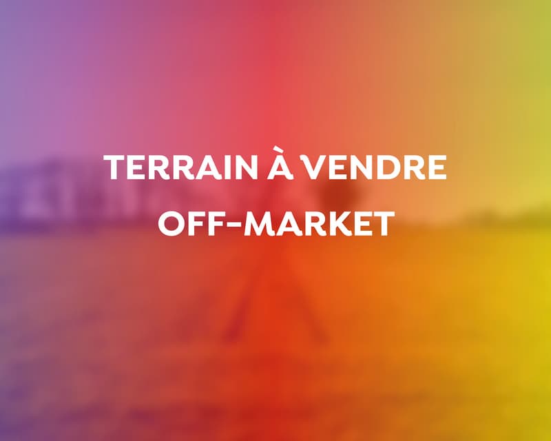 Terrain off market - vue sur les Dents du Midi et fort potentiel (1)