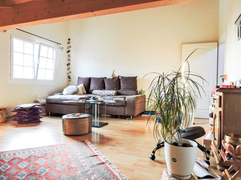 3.5 pièces avec cachet dans une petite PPE aux Evouettes (2)