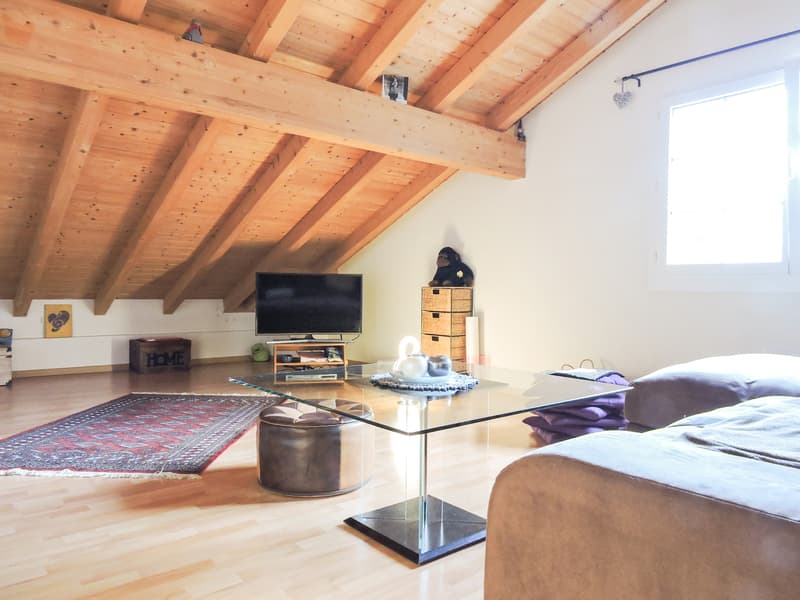 3.5 pièces avec cachet dans une petite PPE aux Evouettes (3)