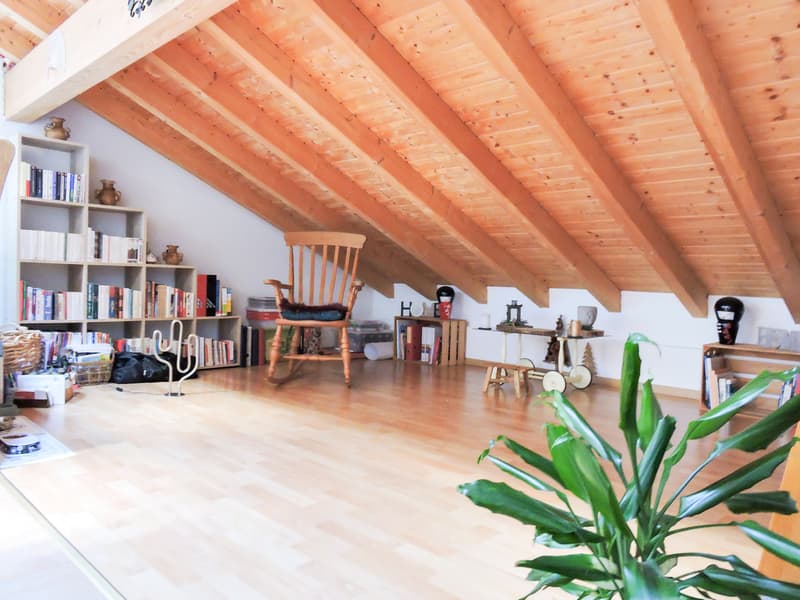 3.5 pièces avec cachet dans une petite PPE aux Evouettes (7)