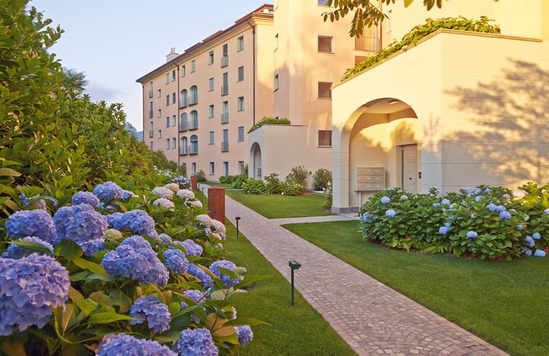 Resort Collina d'Oro 207 - 207S | TI (2)