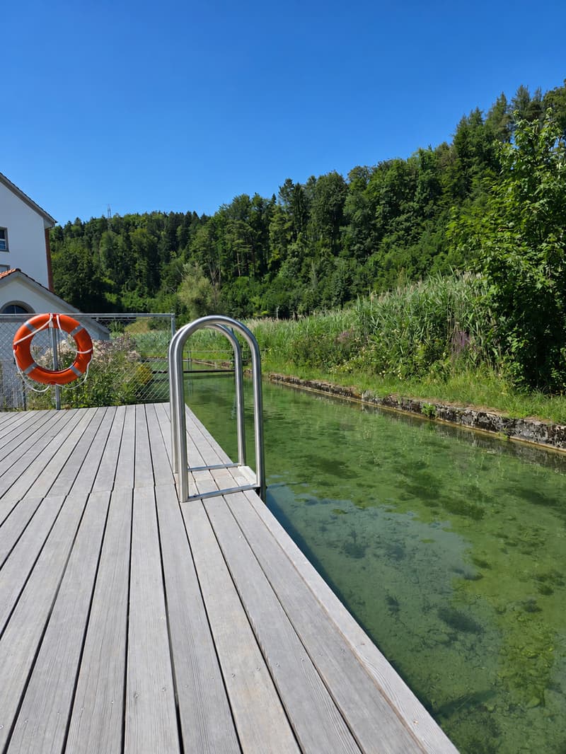 Villa Bühler | ZH (12)