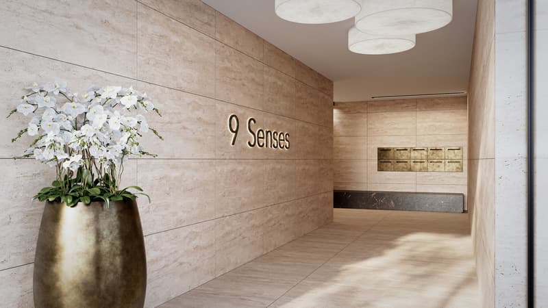 9 Senses | SZ (11)