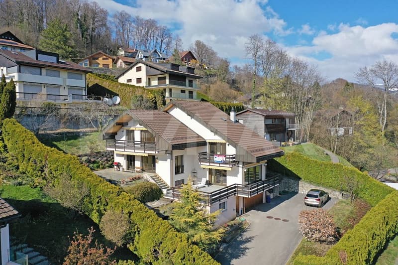 En exclusivité, villa d'exception de 7 pièces dans un écrin de paix sur les hauteurs de Vevey (2)