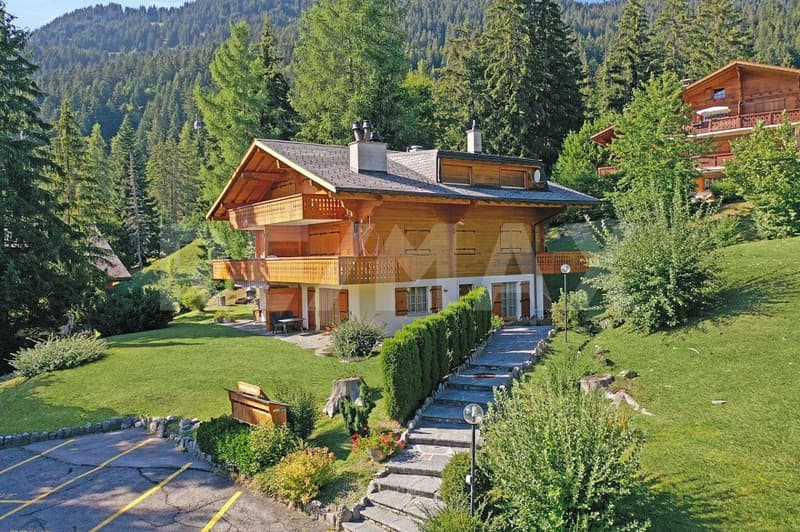 VENTE SUR OFFRES DÈS CHF 400000. | À 5 MINUTES À PIED DES PISTES (6)