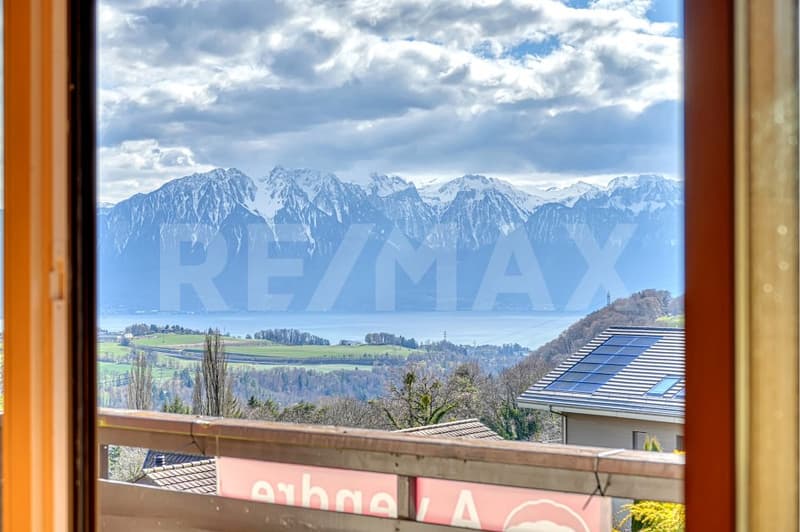 Villa d'exception de 7 pièces dans un écrin de paix sur les hauteurs de Vevey (3)