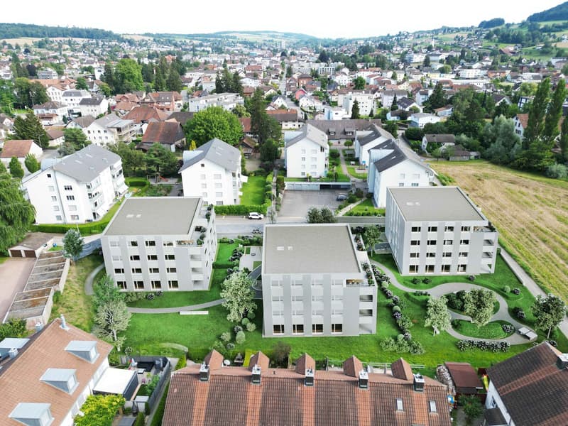 Wohnüberbauung ALZBACHFELD Reinach - 5.5-Zimmer-Eigentumswohnungen (14)