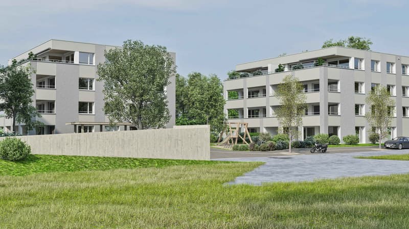 Wohnüberbauung ALZBACHFELD Reinach - 5.5-Zimmer-Eigentumswohnungen (10)