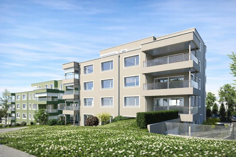 Moderne 3.5-Zimmer-Neubauwohnung mit Balkon und herrlicher Aussicht in Menziken (2)