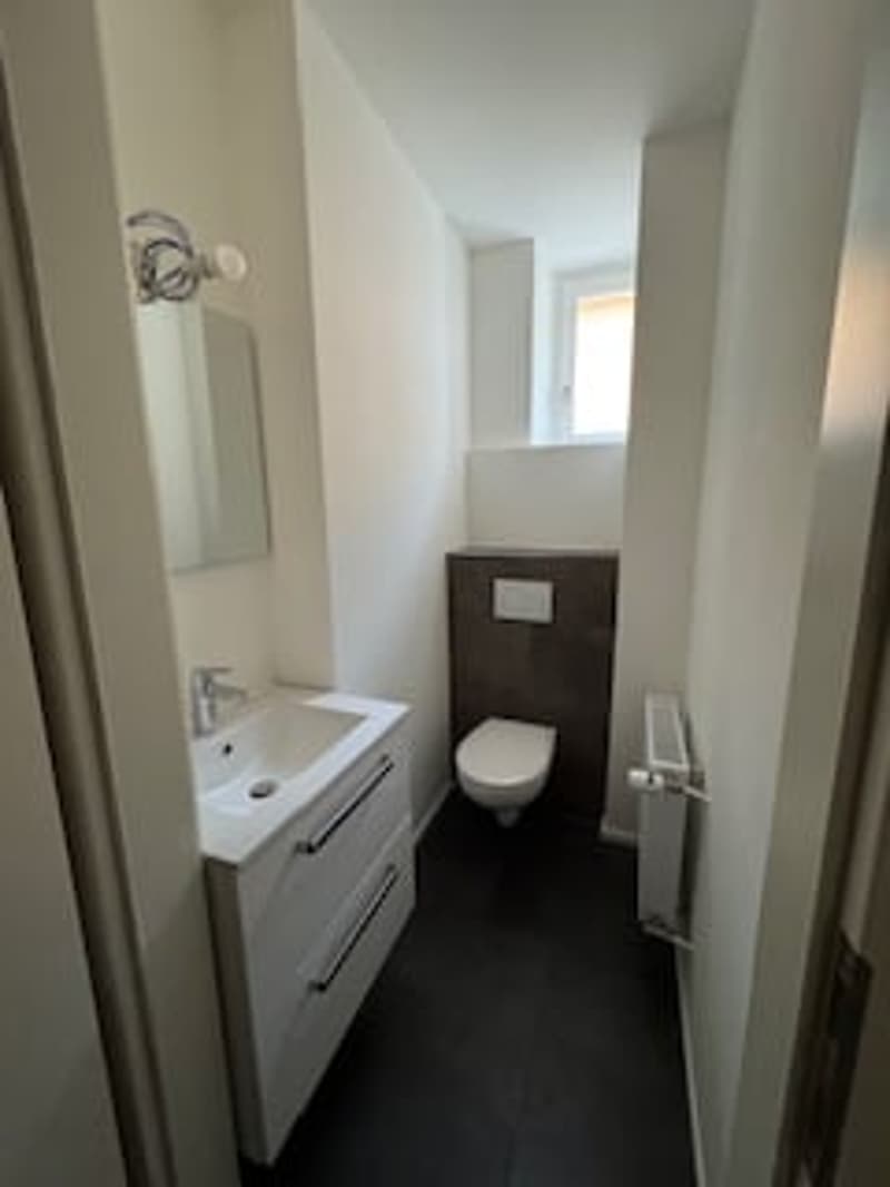 Bathroom with toilet, sink, mirror, radiator, window