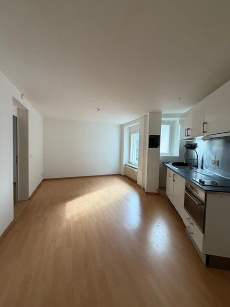 Appartement 2 pièces au centre-ville de Bienne (1)