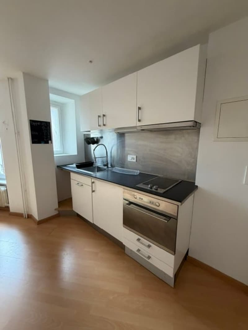 Appartement 2 pièces au centre-ville de Bienne (2)