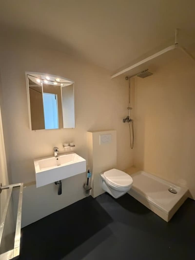 Appartement 2 pièces au centre-ville de Bienne (5)