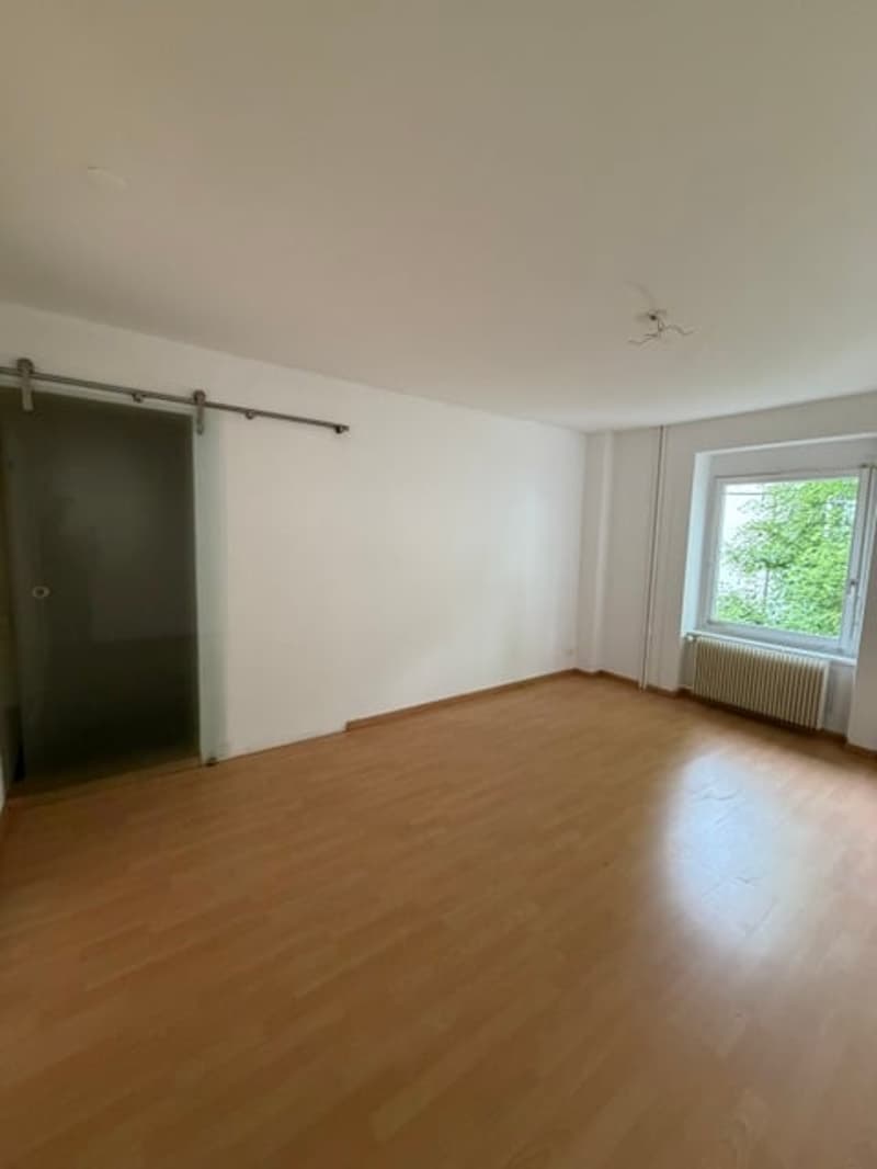 Appartement 2 pièces au centre-ville de Bienne (4)