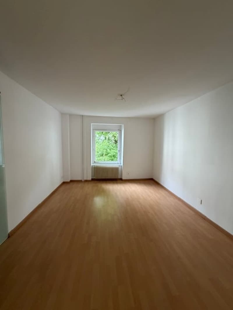 Appartement 2 pièces au centre-ville de Bienne (3)