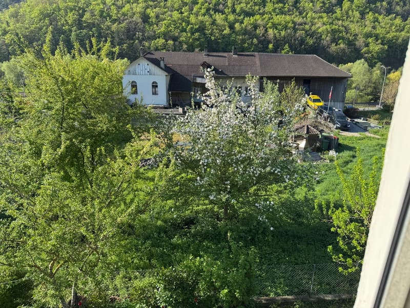 Appartement de 3,5 pièces à Péry-La Heutte (13)